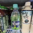 유구읍 웅진식품 내 | [신상품에 빠진 후니] 웅진식품 더빅토리아 초록매실 내돈내산 후기!!!