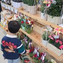 강천산 나비잠 이미지