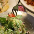 펫 뮤지엄 이미지