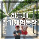 하늘애딸기농장 | 경기도딸기체험 가까운 하늘애딸기체험농장 찐추천!