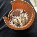 금와농장 | 달팽쓰 두 마리 입양