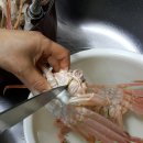 주루루 네이버블로그