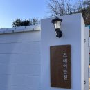 한스애견 | 경북의성군| 스테이만천 애견동반독채펜션 내돈내산 후기 감성 한스푼두스푼세스푼🤍❤️