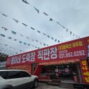 용이네 | 여주 버스터미널 근처 정육점 : 용이네 도축장 직판장 육회 목살 구매후기