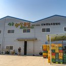 신 한양설렁탕 이미지