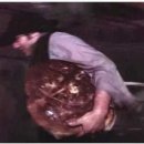 푸리미엄 이미지