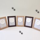 멍더가든 이미지