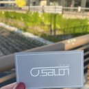 영살롱(0,Salon)