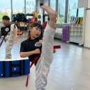 용인대 도담 태권도장 이미지