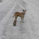 산방마을 농로 이미지