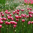 제일한방병원 이미지