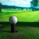 티 스크린 골프 이미지