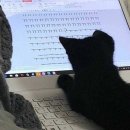 치킨파크 이미지