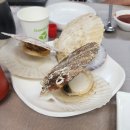 부강수산 | 태안 신진항 후기가 없길래 내가 써봄_회랑 꽃게