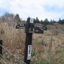 비엔나모텔 이미지