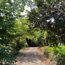 회천동 석상 이미지