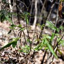 개산초등학교 이미지