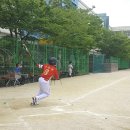 용마초등학교 Daum카페