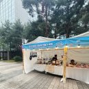 풀무원푸드앤컬처춘천시청점 | 엘지컬쳐위크 마곡행사 첫 째날 그리고 방금 둘 째날 다녀온 후기/정보&amp;꿀팁
