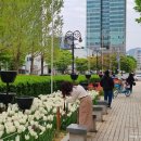 평촌중앙공원 이미지