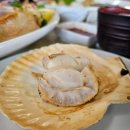 효도여행 홋카이도 2일차 | 오타루 수족관-청어구이로 유명한 아오츠카-오타루에서 삿포로 가기