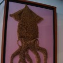 리취8로마 이미지