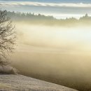 제주국제대학교 이미지