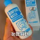 눈세정제 더티런드리 저자극 눈꺼풀 세정제 눈팡워터 실사용 후기