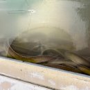 강원곰장어 이미지