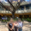 을왕비치호스텔B | 하와이 1박 3만원 호스텔 후기 (와이키키 위치, 솔직히 추천할까?/벌레/치안/내부 다 공개) + 친구 만든...