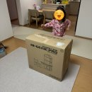 지니프 | 5세 어린이 유아책상 하이지니프로 후기