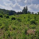 에버그린펜션 이미지