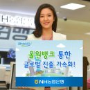 올원글로벌