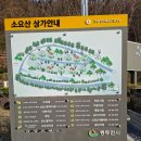 수선화모텔 | 경기 동두천 여행 가볼만한곳 소요산 나들이 벚꽃 개화 시기 근황 주차장 요금
