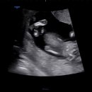 내원스크린골프 이미지