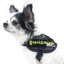 자수 쇼핑하우
