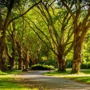 서울브라보치과의원 이미지