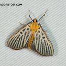 검은들로 이미지