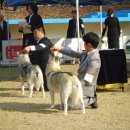 시골축산 이미지
