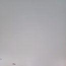 중원성남-D-2 이미지