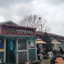보리마루17