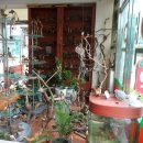 태종약국 이미지