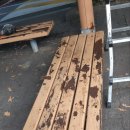 도장어린이공원 이미지