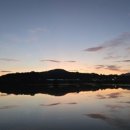 내곡낚시터 이미지