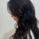꿈꾸는미용실