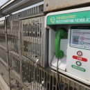 중앙여자고등학교 (건너) 이미지