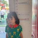 충주시 농민문화체육센터 | [충북 충주] 충주라바랜드 : 내돈내산, 충주 키즈카페 놀이동산 소개