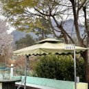 떳다수제비 왔다파전 | 창원대 산애산 토요일 웨이팅 | 4/13 일요일 영업해요 | 창원 벚꽃 맛집