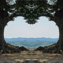 당감제일냉면&토리커피 | 20250524~0525 1박2일 공주 부여