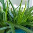 더좋아짐 이미지